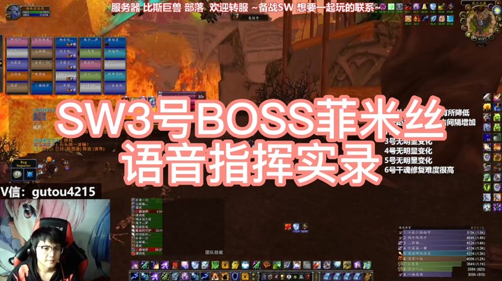 SW3号BOSS菲米丝指挥实录