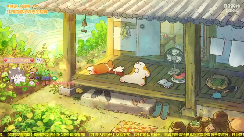 【2022-05-08 16点场】咕咕喵nya：❤️可上车❤️开通钻粉巴适的板