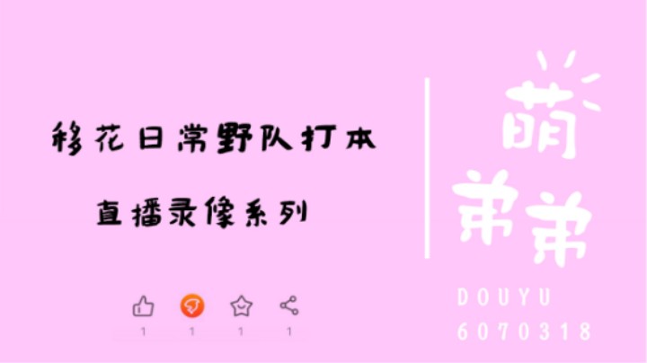 移花日常野队打本