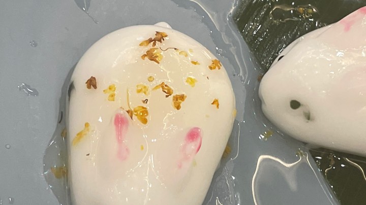 直播录像