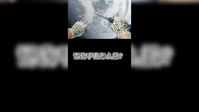 【csgo皮肤讲解】雪豹手套怎么挑呢？