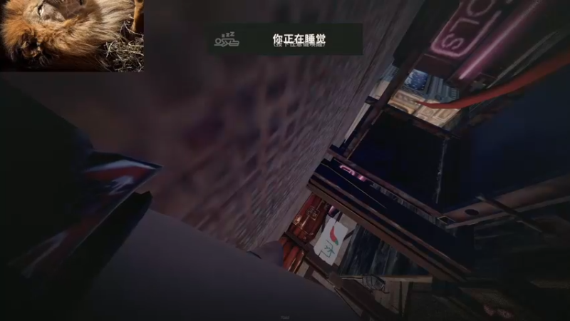 【2022-05-09 16点场】小狮子lionkk丶：【LIONKK】开荒