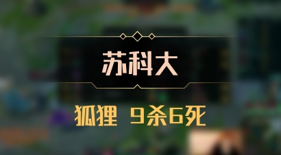 【苏科大】狐狸 9杀6死