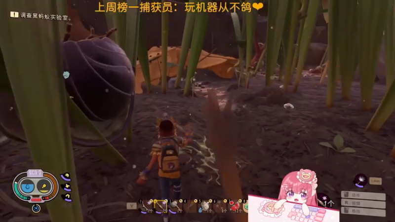 【2022-05-08 12点场】捕捉一只三吃：我看晚霞的时候不做任何事