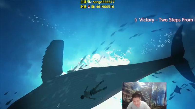 【2022-05-09 21点场】douyu丶松子：蛮王：版本最强上单 选了包赢