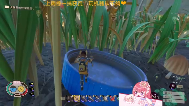 【2022-05-10 00点场】捕捉一只三吃：我看晚霞的时候不做任何事