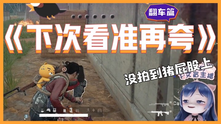 【主播你真皮24】小团团：博子拍猪屁没拍上，下次看准了再夸哈