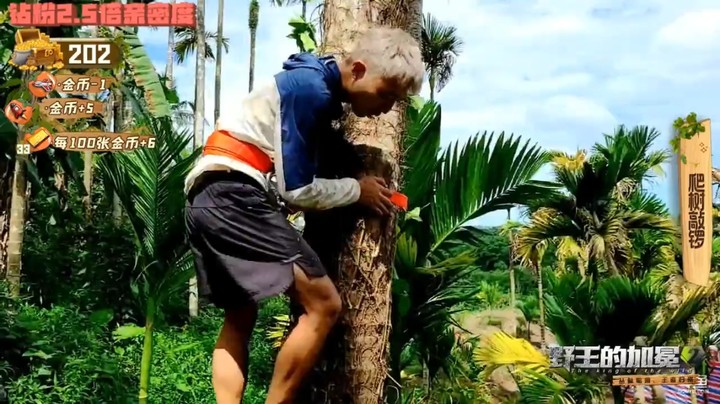 野王的加冕2浩哥看筷子爬树，这道具给力