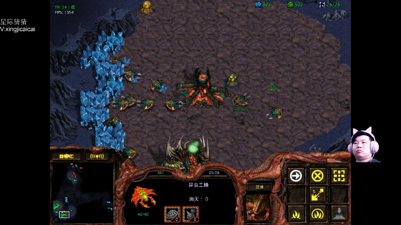 【星际争霸】星际猜猜的精彩时刻 20220511 00点场