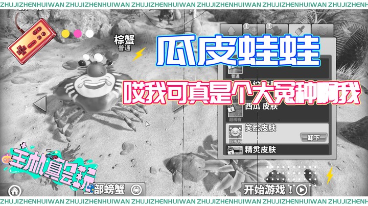 【主机真会玩】瓜皮蛙蛙：哎我可真是个大冤种啊我