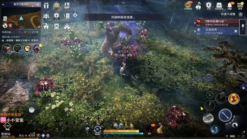 【2022-05-10 11点场】安堂丶：国服一直冲！！ 多服齐肝，外服大佬坐镇