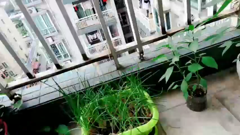 【2022-05-09 16点场】EA丶老狼：#狼人杀官方#赛季结束！