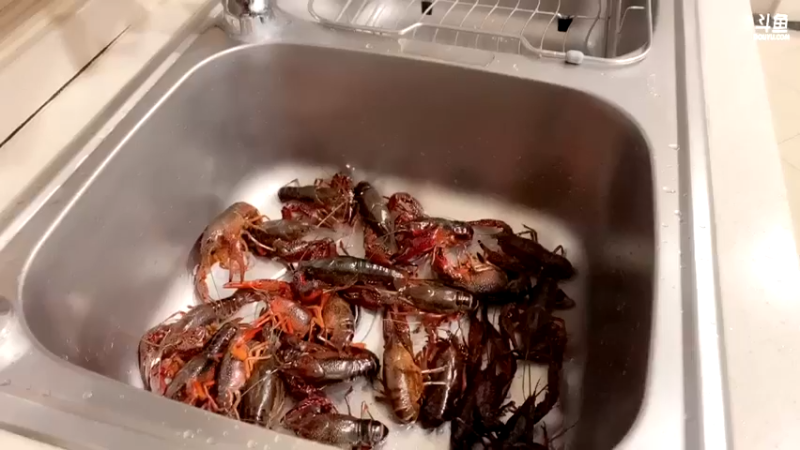 【2022-05-11 19点场】yjjimpaopao：来点怎么说!