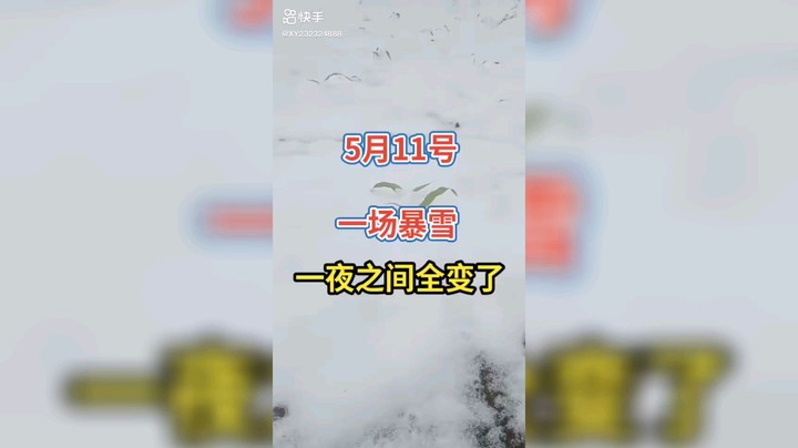 下雪了