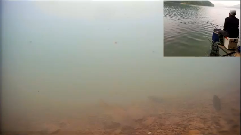 【2022-05-11 15点场】中华户外钓鱼：湖库野钓300天