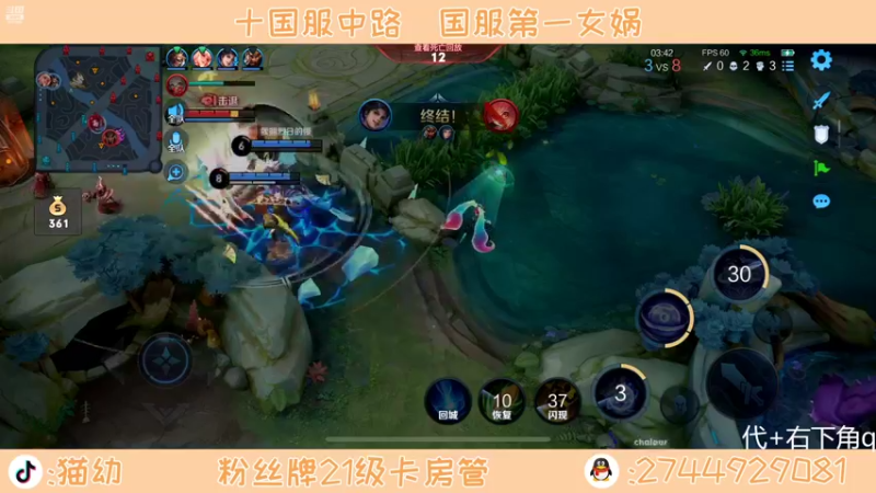 【2022-05-10 20点场】猫幼zzz：一只乐观的小鸡