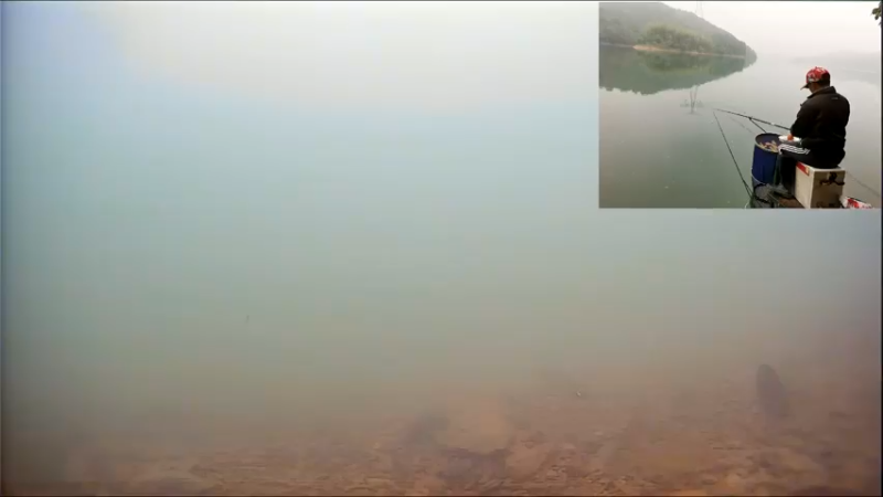 【2022-05-11 13点场】中华户外钓鱼：湖库野钓300天