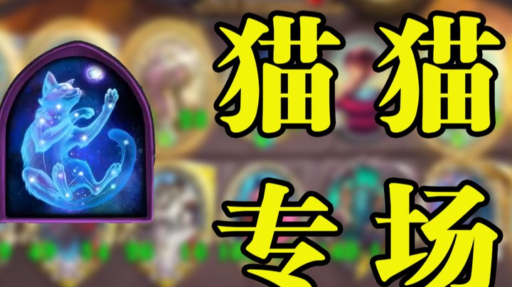 【墨衣】本体现身——贸易是工作，猫猫才是生活！一半自强