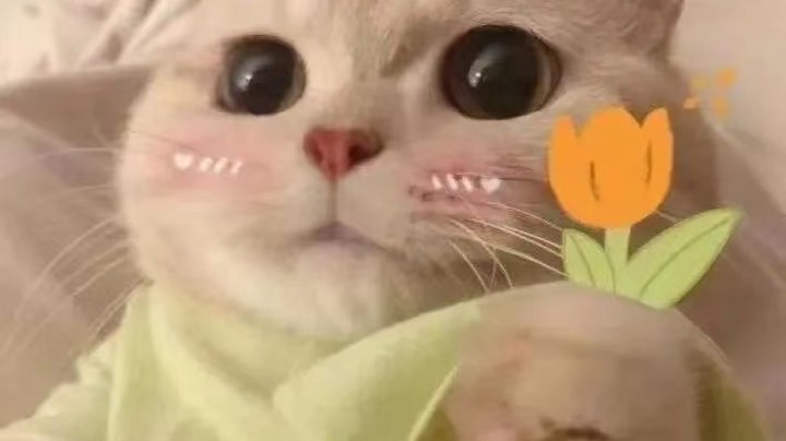 下饭