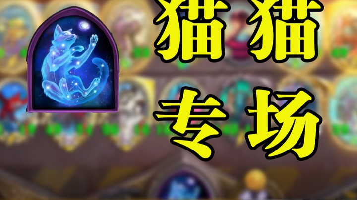 【墨衣】本体现身——贸易是工作，猫猫才是生活！ 七人之力