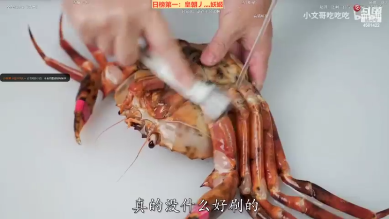 【2022-05-08 23点场】迷人的卿姐姐i：五一快乐周~~~ 4581422