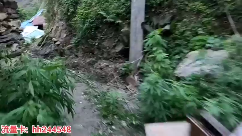 【2022-05-10 19点场】叶子户外：《纪实直播》一路向西出发（虎跳峡）8