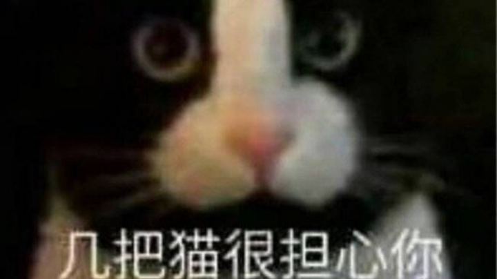 直播回放5月