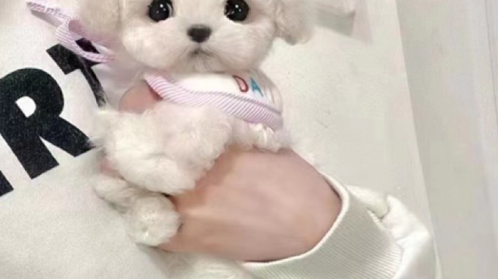 自闭城自闭霸主