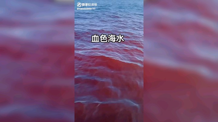 血色海水