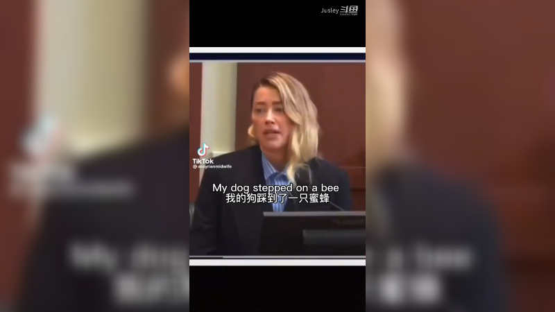 德普和艾梅伯法庭搞笑现场Apex部分英雄参与接力