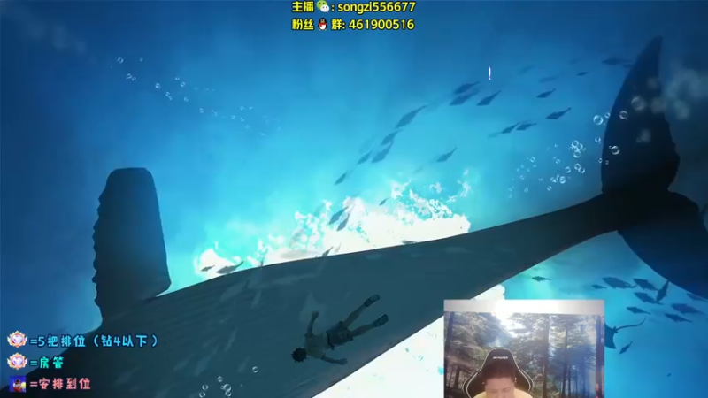 【2022-05-11 22点场】douyu丶松子：蛮王：版本最强上单 选了包赢