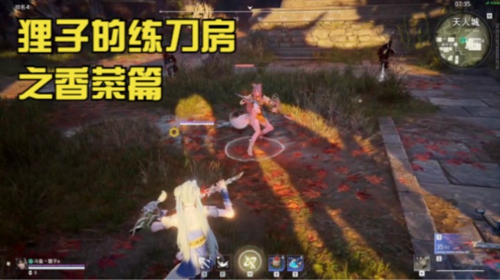 狸子的练刀日记之香菜篇