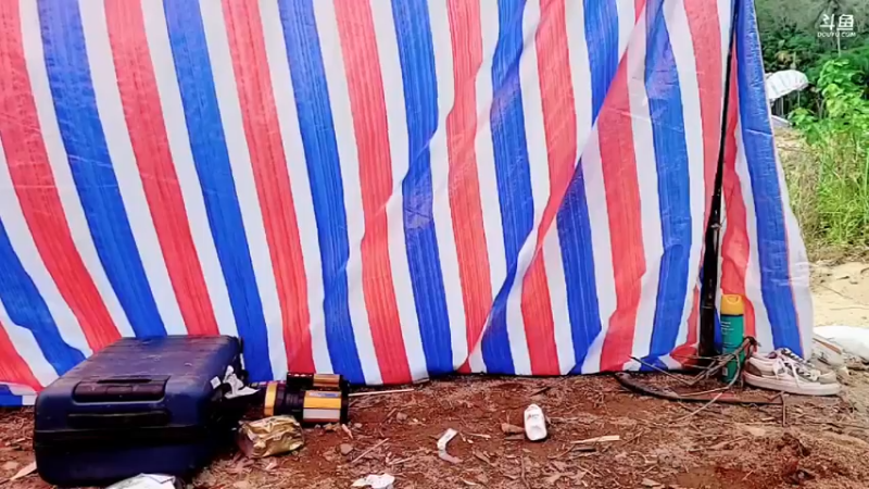 【2022-05-12 10点场】逐梦兄弟：《野王的加冕2》day5 5025477