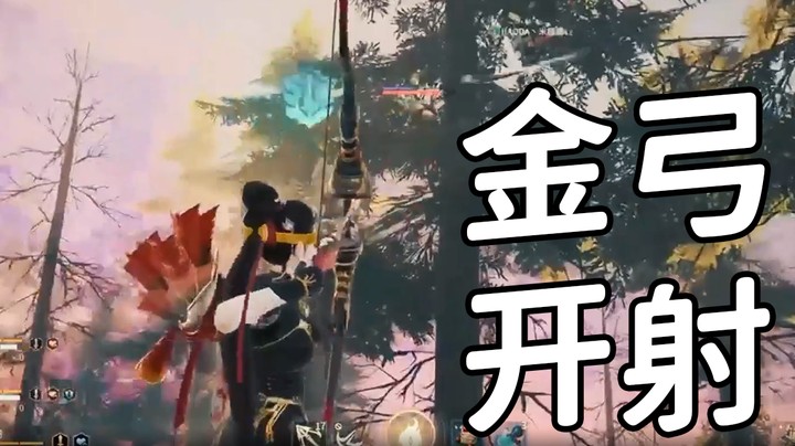 金弓？开射！