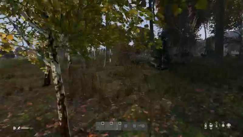 【2022-05-13 17点场】dayz韩爱东西：将鲜花先给山岸逢花