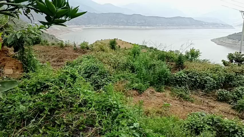 【2022-05-13 17点场】黑哥户外：挖泥鳅做美食
