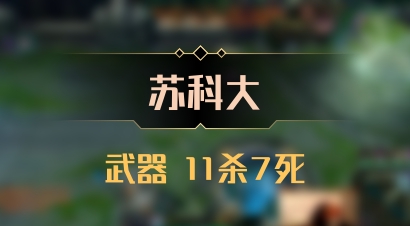 【苏科大】武器 11杀7死