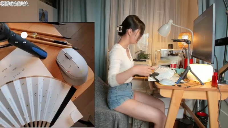 【2022-05-12 22点场】刘灶灶：十点后画画啊