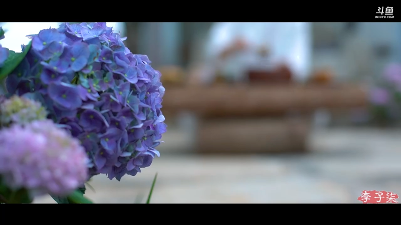 【美食】李子柒liziqi的精彩时刻 20220514 01点场