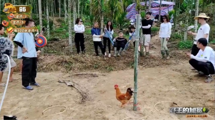 《野王的加冕2》套鸡游戏