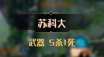 【苏科大】武器 5杀1死