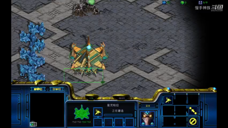 pvt-3x兵开局-慢手神族-星际争霸2022-05-29