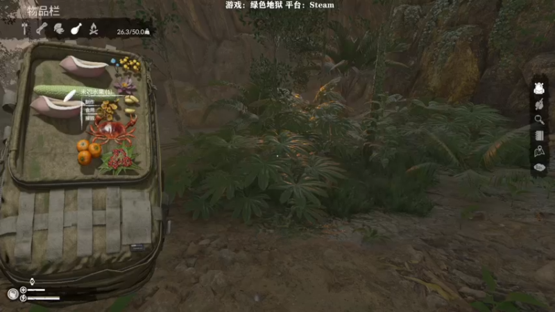 【2022-05-14 14点场】白白阿卷：绿色地狱 亚马逊生存专家