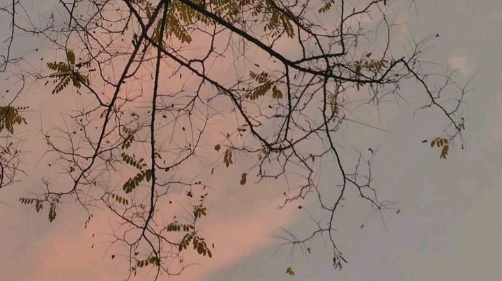 cf