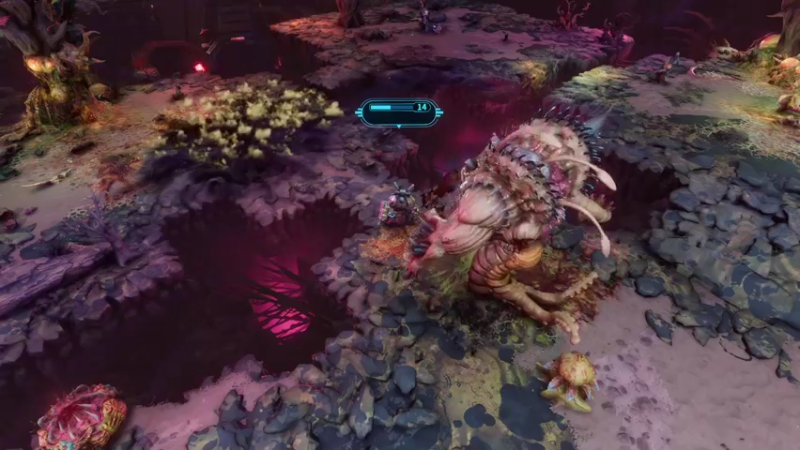 【2022-05-15 16点场】鱼的眼泪水知道：【传奇】战锤40K混沌之门 - 恶魔猎人