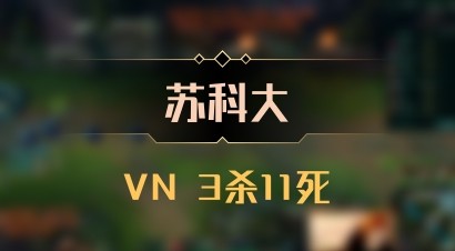 【苏科大】VN 3杀11死