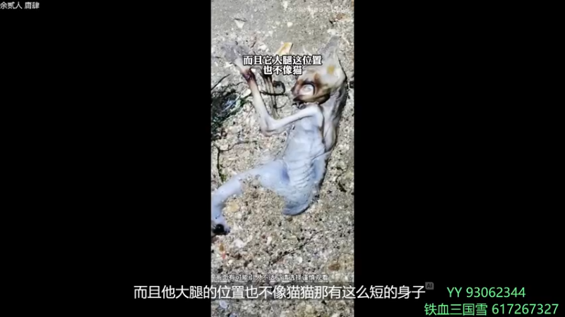 【2022-05-14 17点场】余贰人：3：三国雪