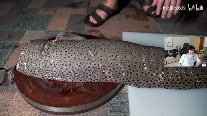 【2022-05-15 15点场】yjjimpaopao：先CSGO怎么说