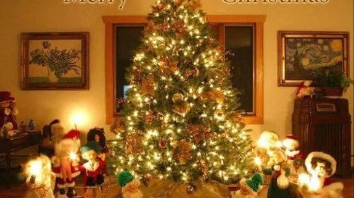 小荷才露尖尖角