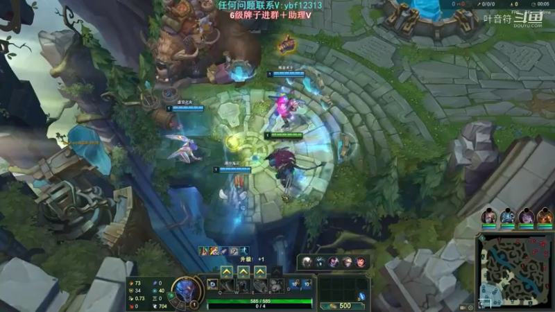 狮子狗 VS 死歌